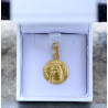 médaille vierge couronnée